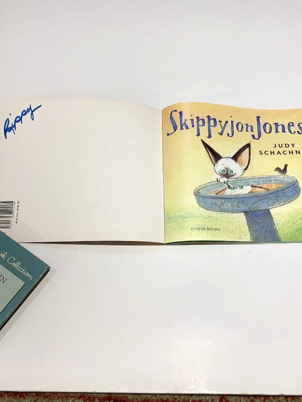Set of 4 Children Books My Little Pony, Skippyjon Jones, The Computer Teacher